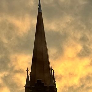 Meet your Posher, Lynn